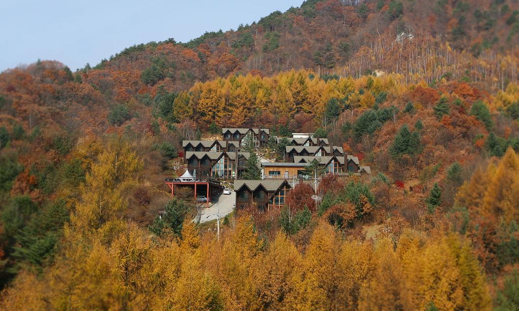 Chalet Resort Pyeongchang Eksteriør billede